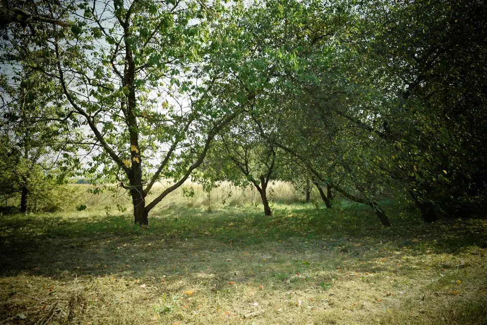 Zdjęcie 5