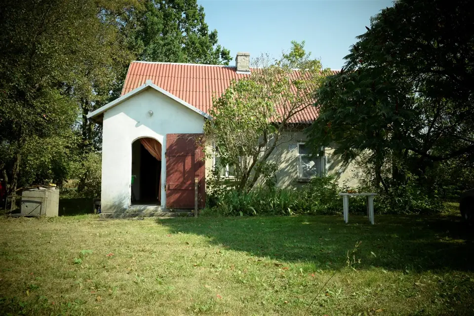 Zdjęcie 8