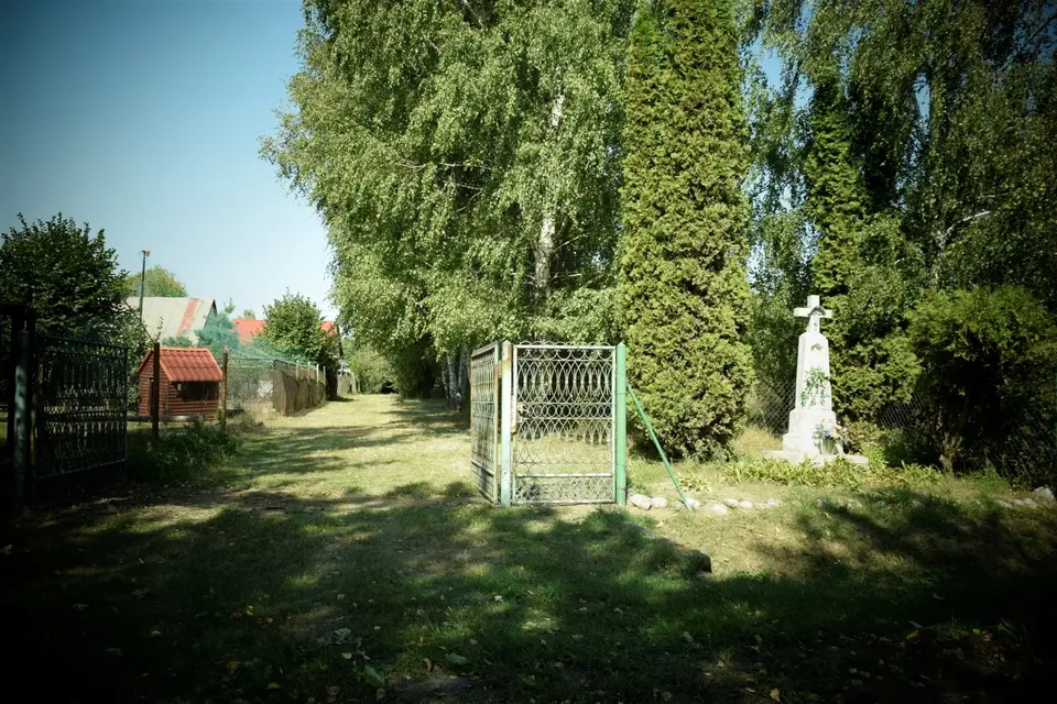 Zdjęcie 10