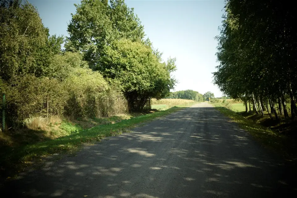 Zdjęcie 11