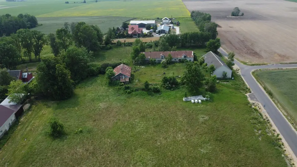 Zdjęcie 12