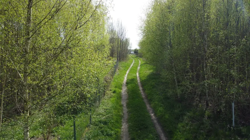 Zdjęcie 7
