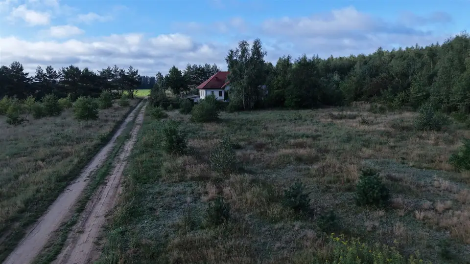 Zdjęcie 5