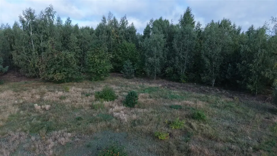 Zdjęcie 6