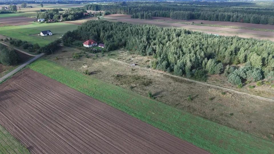 Zdjęcie 11