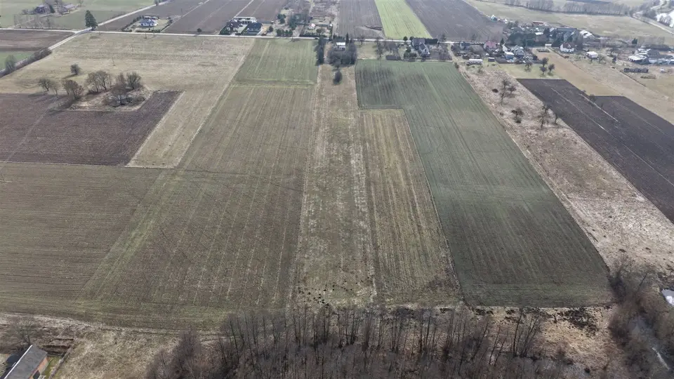 Zdjęcie 8