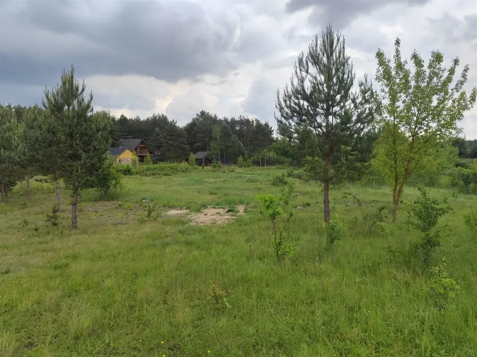 Zdjęcie 13