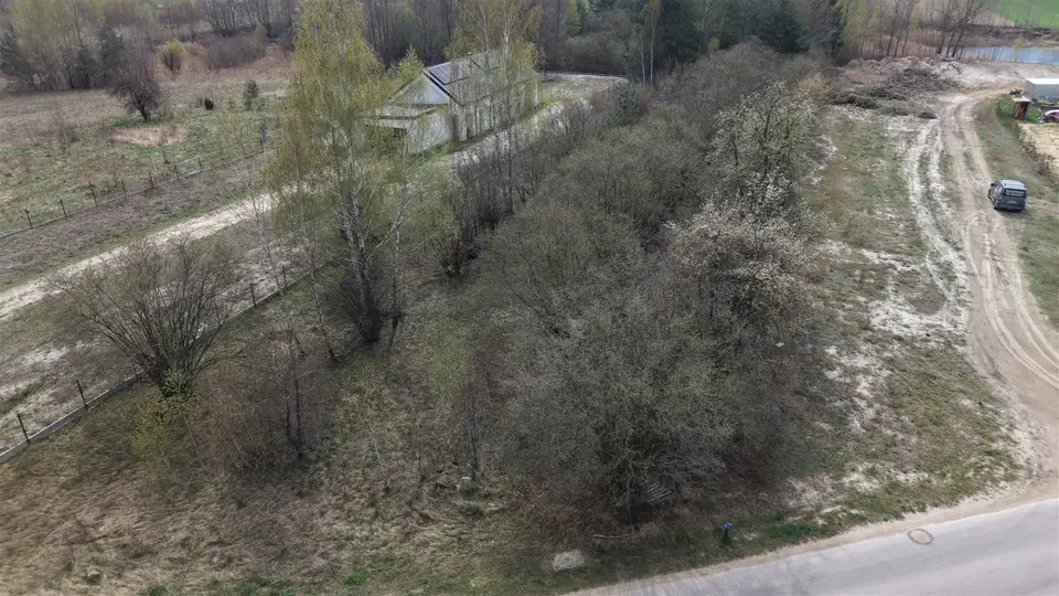 Zdjęcie 10