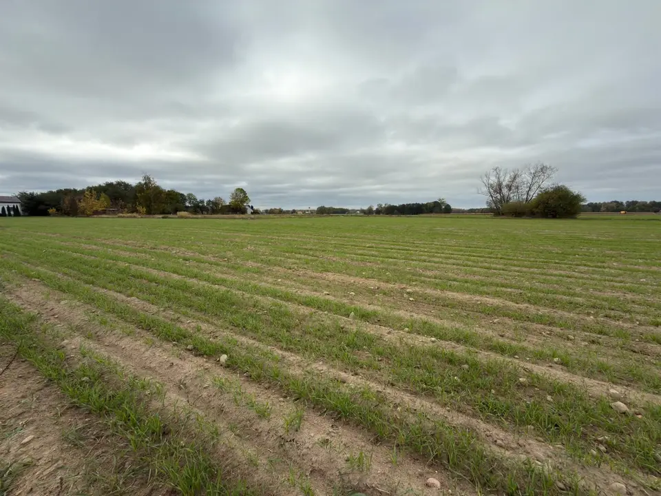 Działka budowlana 3 000 m², Cholewy