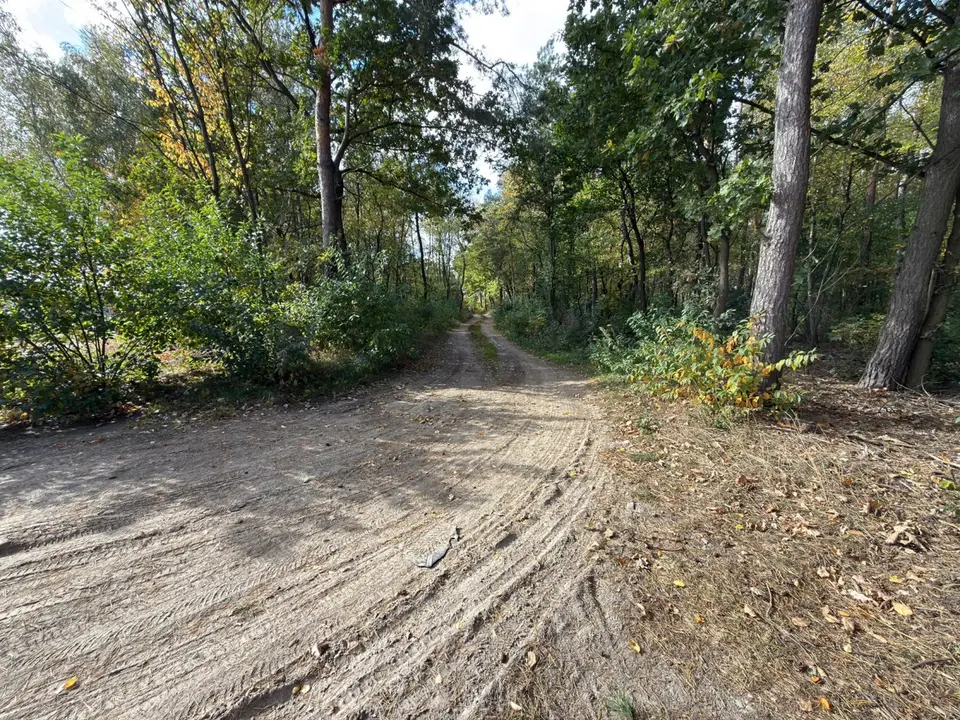 Zdjęcie 10