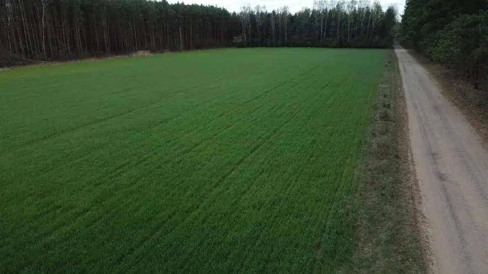 Zdjęcie 6
