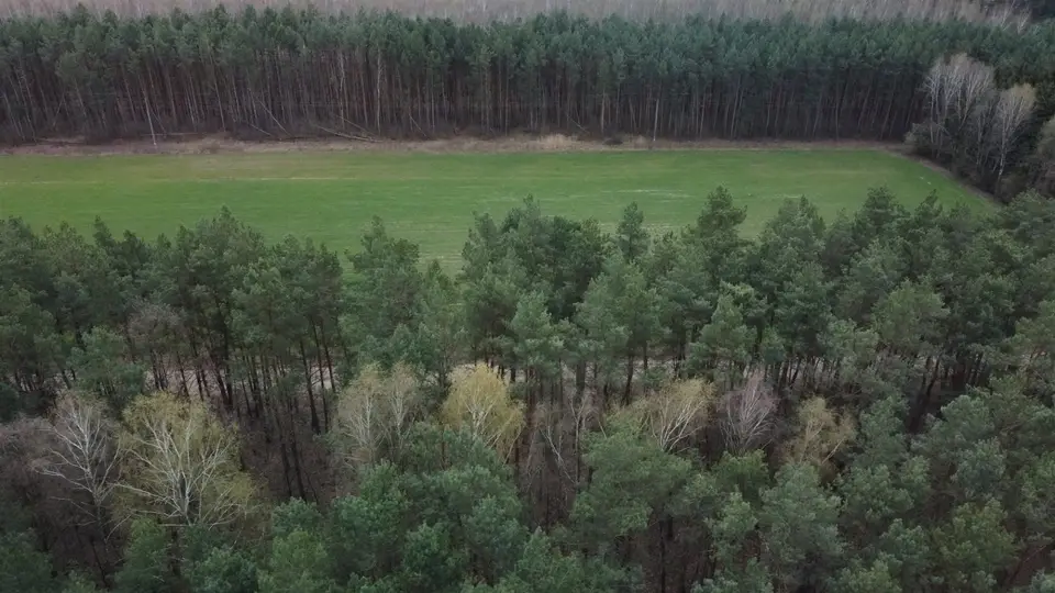 Zdjęcie 14