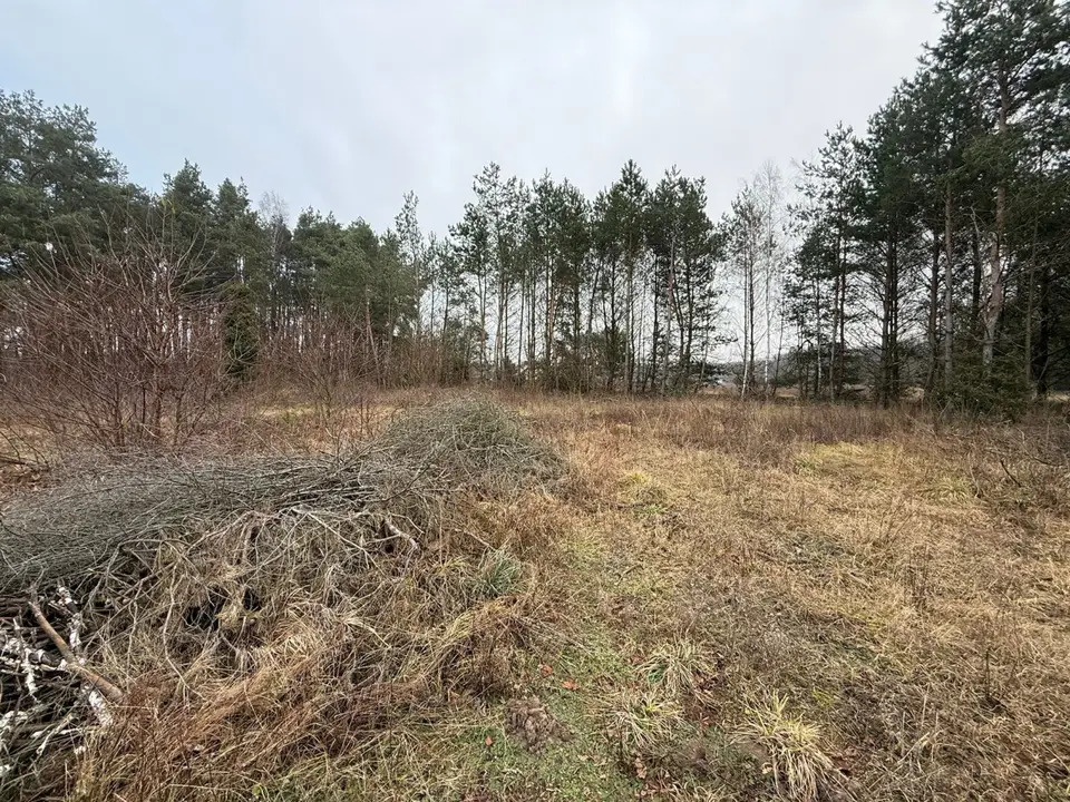 Zdjęcie 10