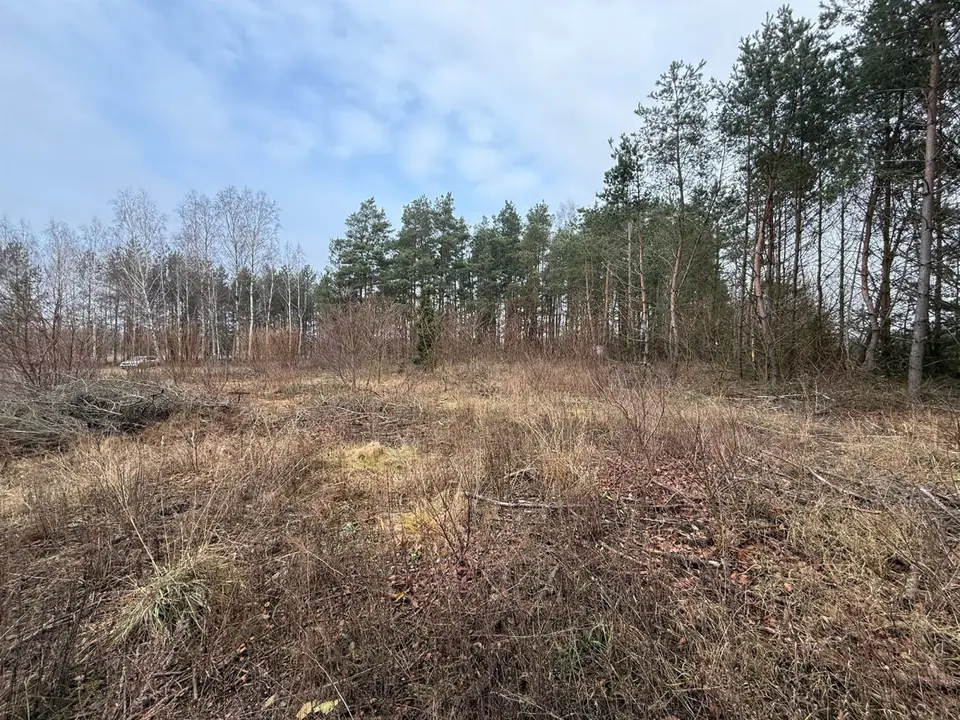 Zdjęcie 13