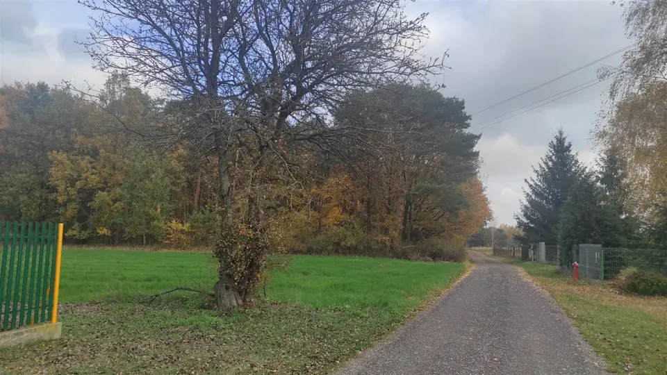 Działka rolna 2,14 ha, Wola Pasikońska