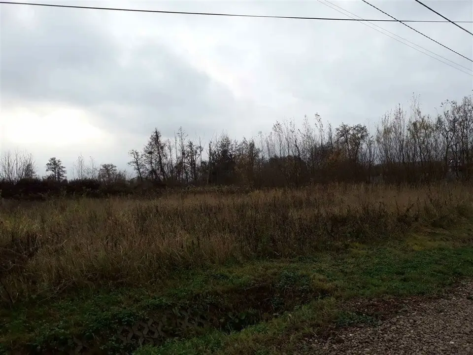Zdjęcie 3