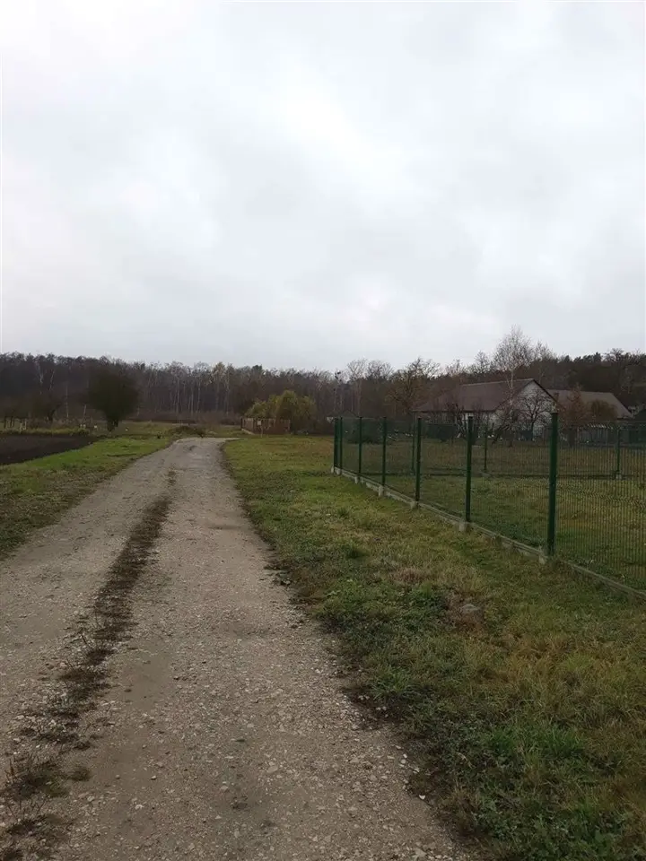 Zdjęcie 4