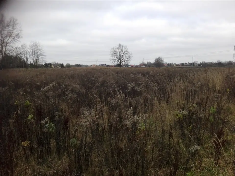 Działka budowlana 3 332 m², Kampinos A