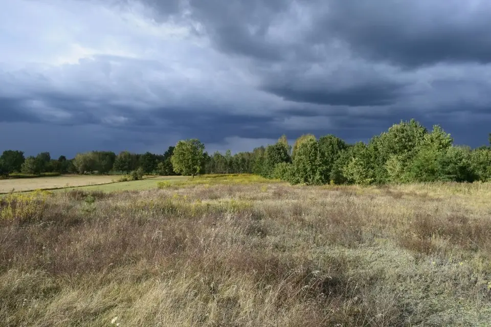 Działka budowlana 2 188 m², Powązki