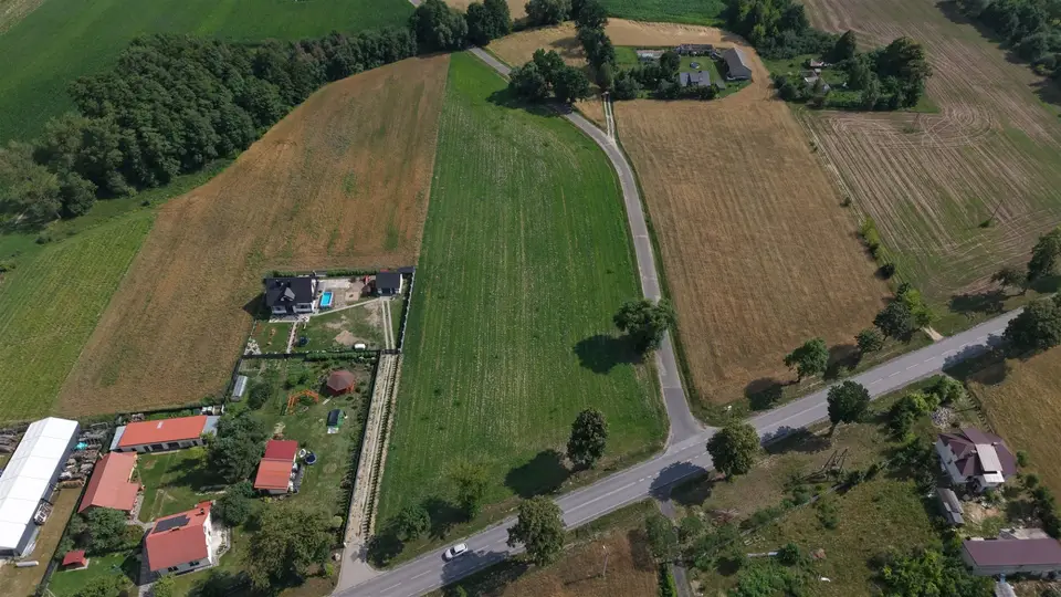 Zdjęcie 10