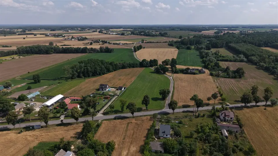 Zdjęcie 11