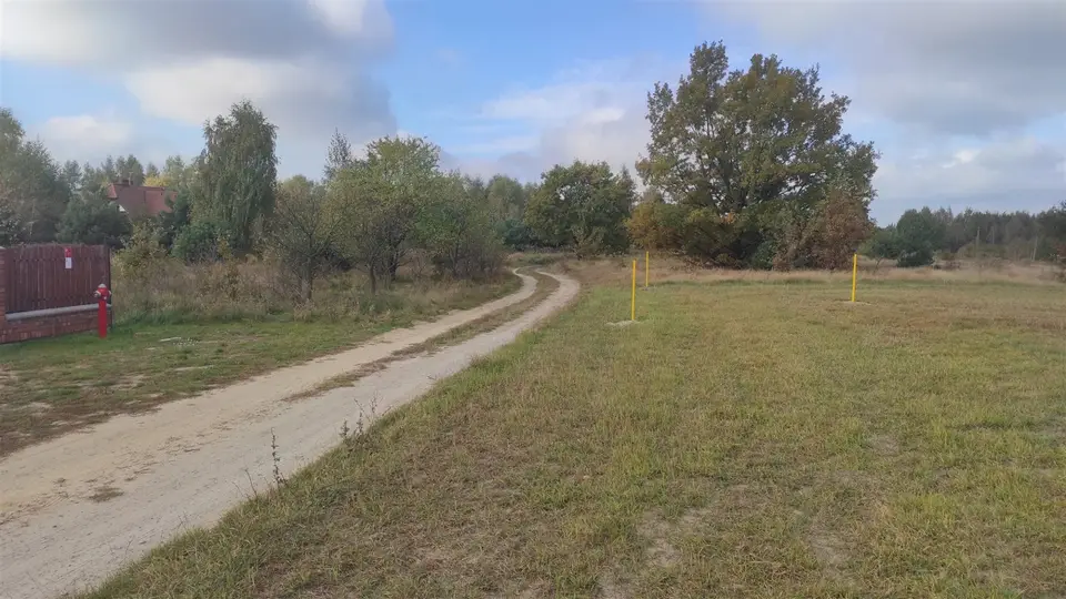 Zdjęcie 5