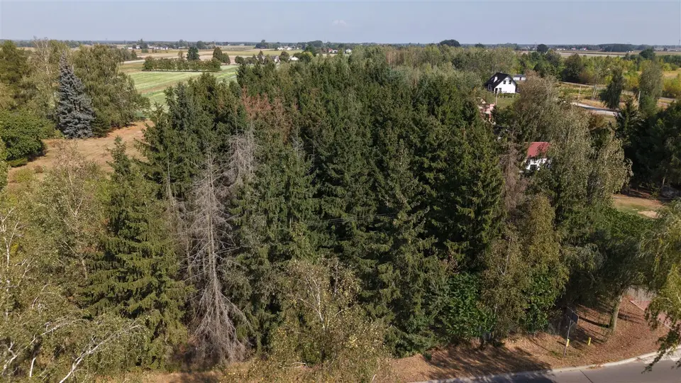 Zdjęcie 11