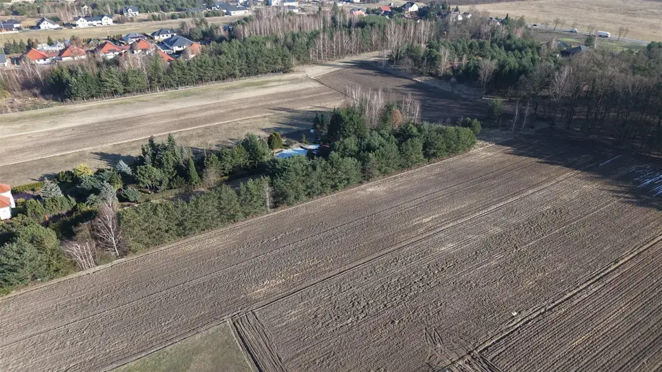 Zdjęcie 8