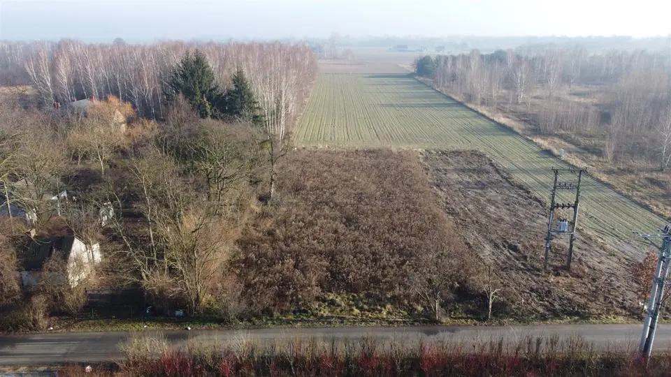 Zdjęcie 11