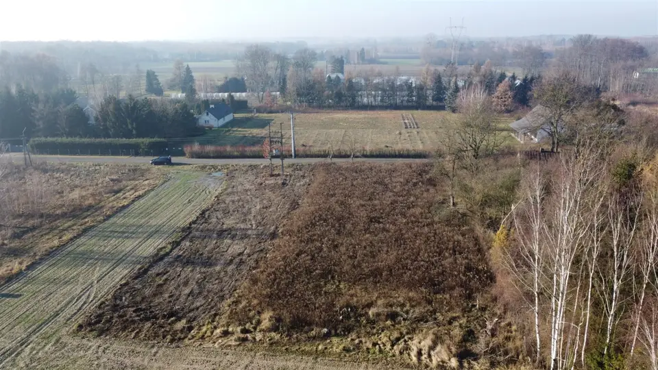 Zdjęcie 13