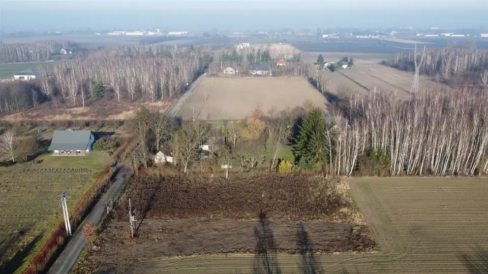Zdjęcie 15