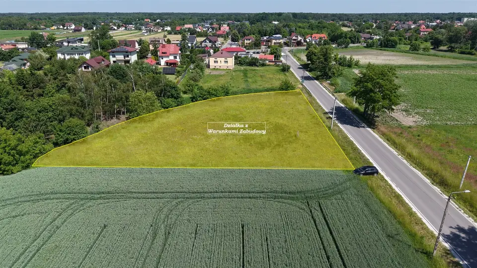 Zdjęcie 3