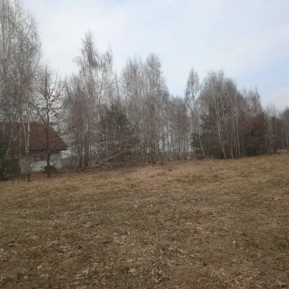 Zdjęcie 3