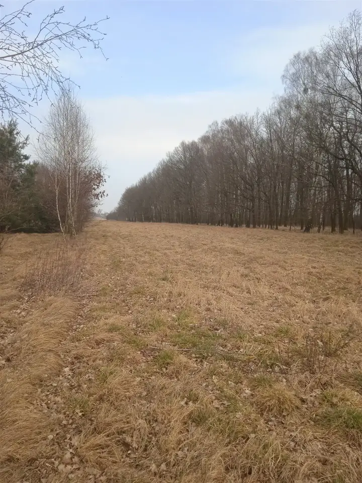 Zdjęcie 4
