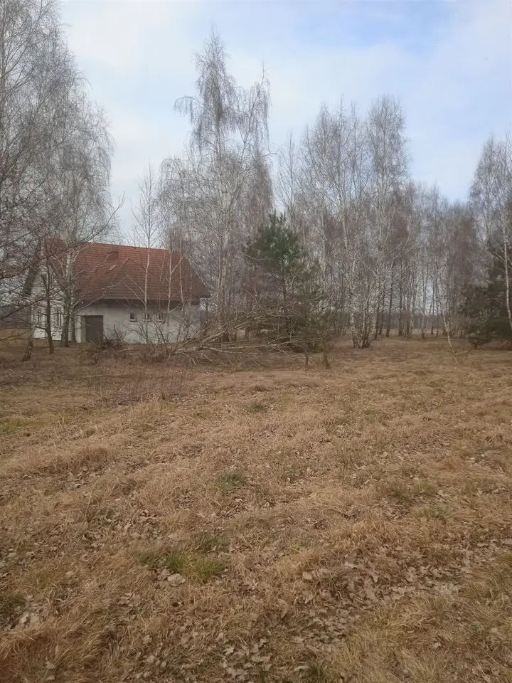 Zdjęcie 5