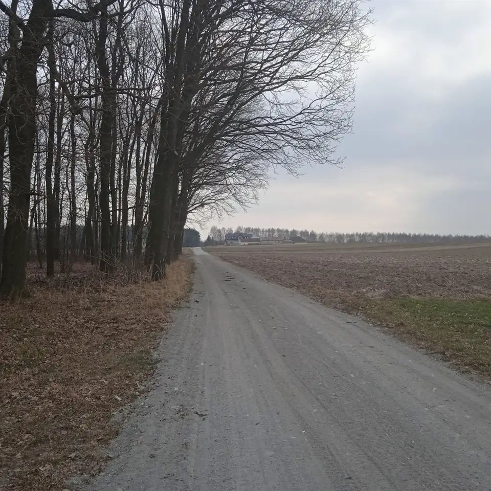 Zdjęcie 6