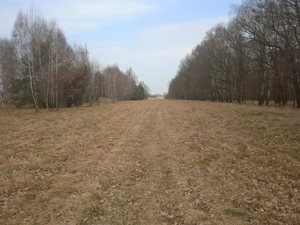 Zdjęcie 7