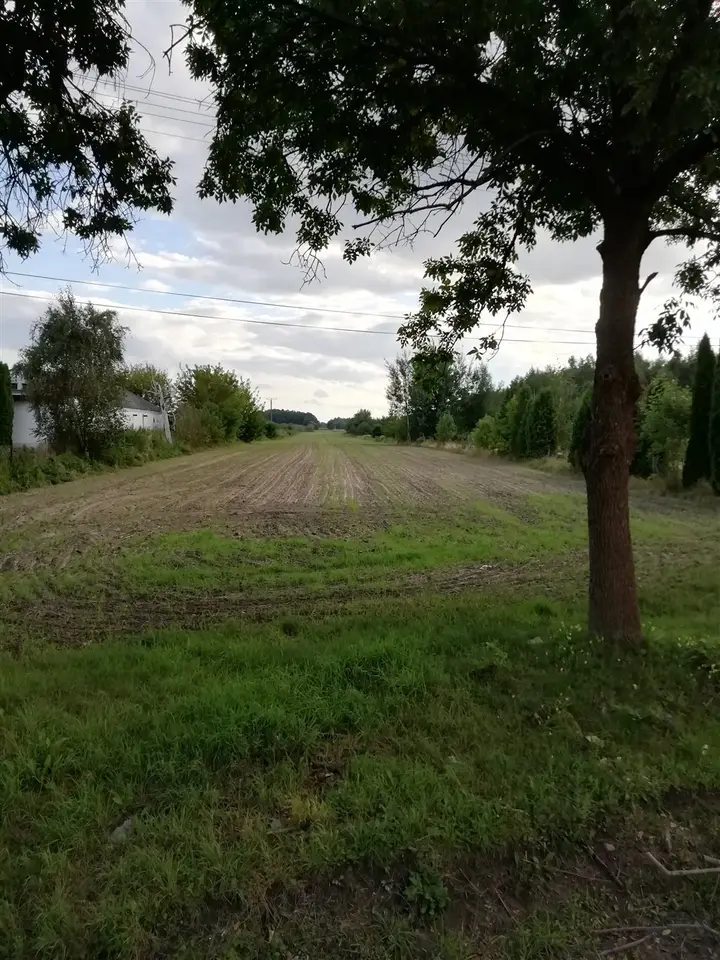 Zdjęcie 8