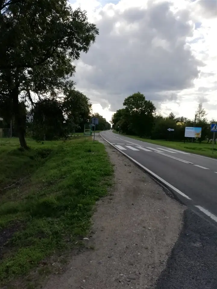 Zdjęcie 9