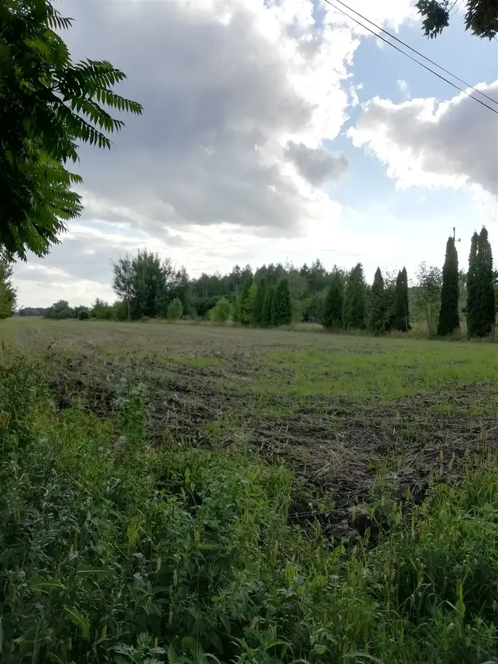 Zdjęcie 11