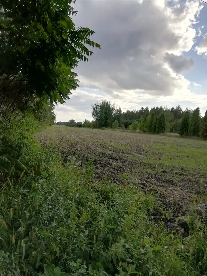 Zdjęcie 12