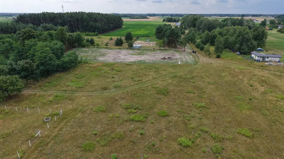 Zdjęcie 12