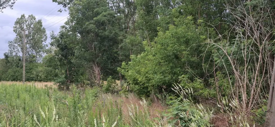Działka budowlana 880 m², Wola Pasikońska