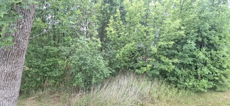Zdjęcie 2