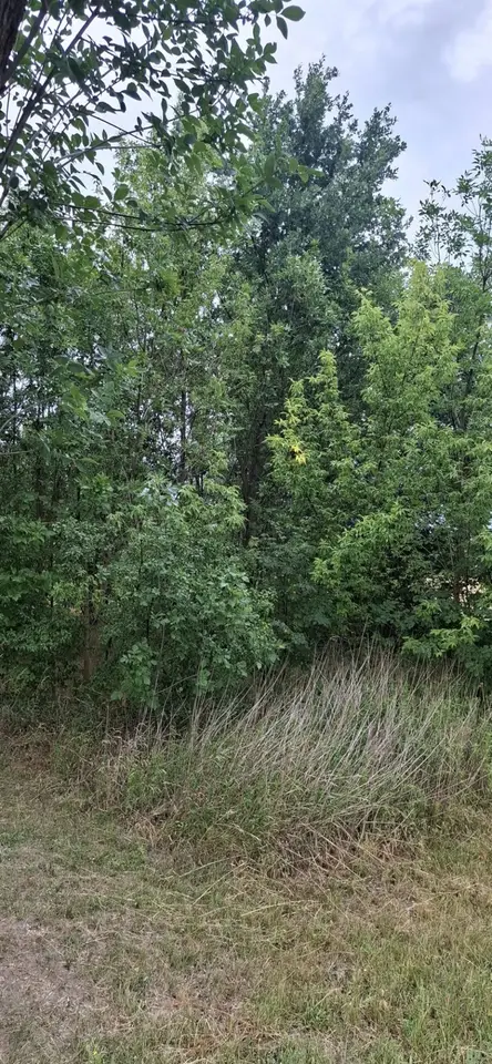 Zdjęcie 5