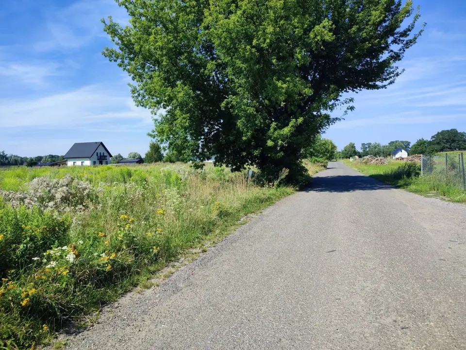 Zdjęcie 5