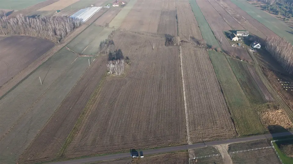 Zdjęcie 11