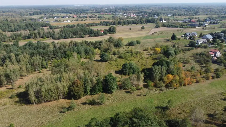 Zdjęcie 8