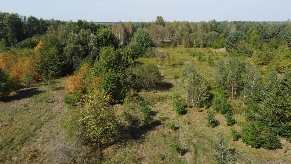 Zdjęcie 10