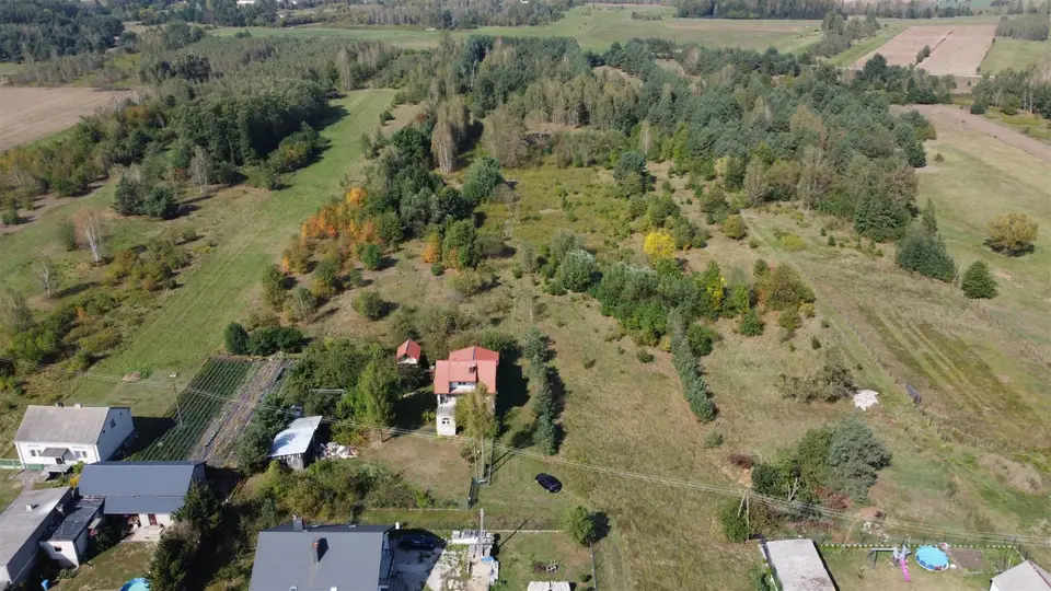 Zdjęcie 12